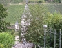 100_4829 (Large)